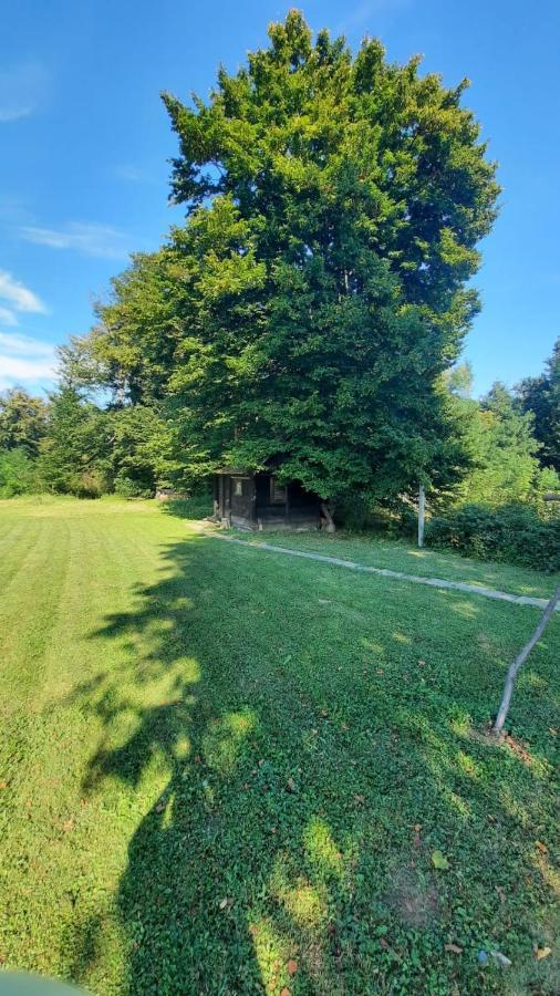 M&m Kuca Za Odmor Casa vacanze Vrbovec
